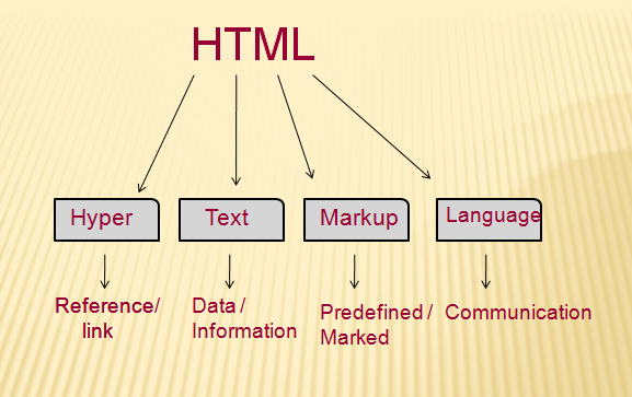 Tài liệu hướng dẫn HTML cho người mới bắt đầu - Nordic Coder